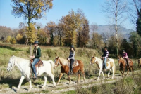 escursioni a cavallo